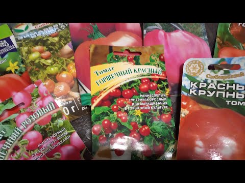 Видео: 🍅Вкуснейшие урожайные сорта томатов.Устойчивые к болезням!Рекомендую! Проверено!