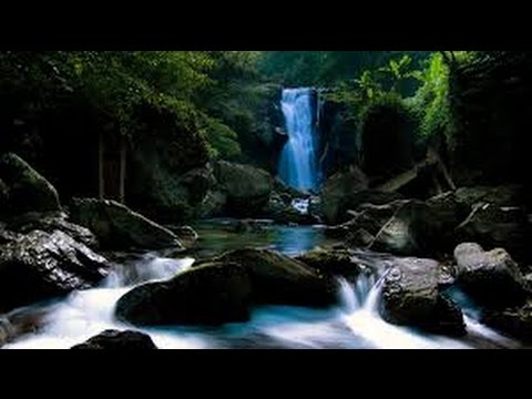 Видео: Хочи Мирзо-ам-253 Савдогарон