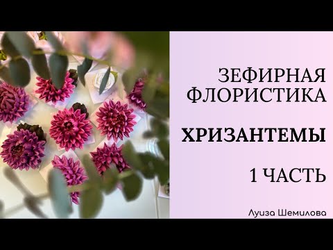 Видео: Зефирная флористика - хризантемы 1 часть