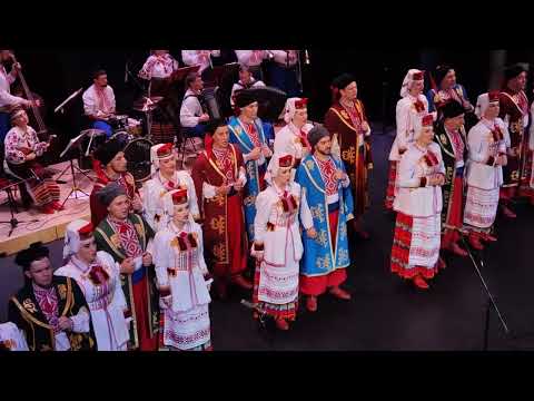 Видео: ВОЛИНСЬКИЙ НАРОДНИЙ ХОР. Чернівці. 17.10. 2023 року.