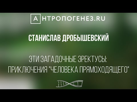 Видео: Эти загадочные эректусы: приключения "человека прямоходящего". Станислав Дробышевский