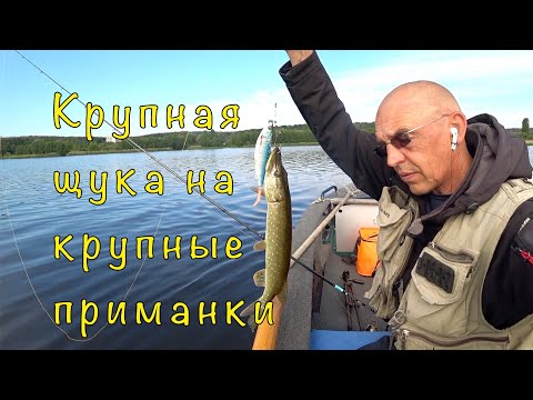 Видео: Тест спиннинга Relax Dictator до 70 грамм. Ловим приманками XXL.