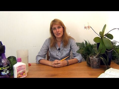 Видео: Удобрение фаленопсиса