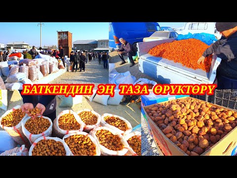 Видео: Өрүктөрдүн баалары жана түрлөрү. Каналга ПОДПИСАТЬСЯ болуп колдоп коюңуздар. #өрүкбазар 