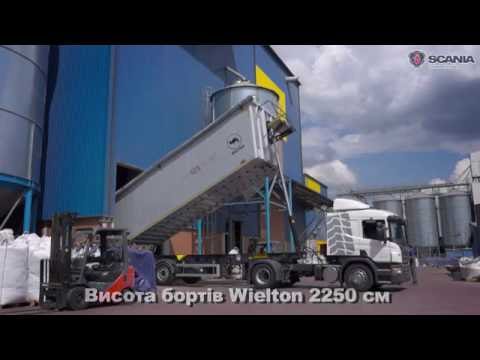 Видео: Зерновоз Scania P400 зі самоскидним напівпричепом Wielton 55 куб. м.