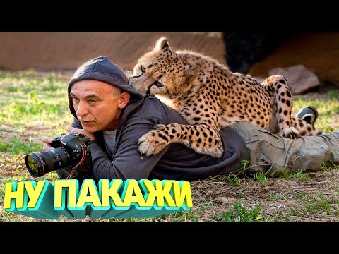 Видео: ЛУЧШИЕ ПРИКОЛЫ 2025 угар до слез тест на психику мемы смешные видео попробуй не засмеяться coub #160