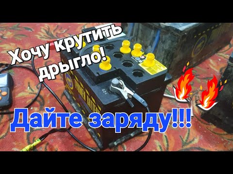 Видео: Реанимация молодого Тюменского лося.