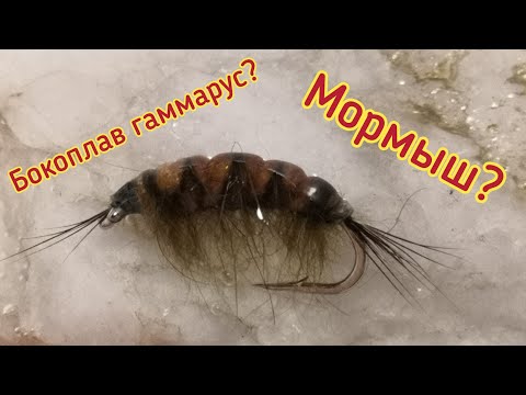 Видео: Мушка бокоплав гаммарус или мормыш? Делаем самодельную даббинговую нить! Мушка для крупного хариуса