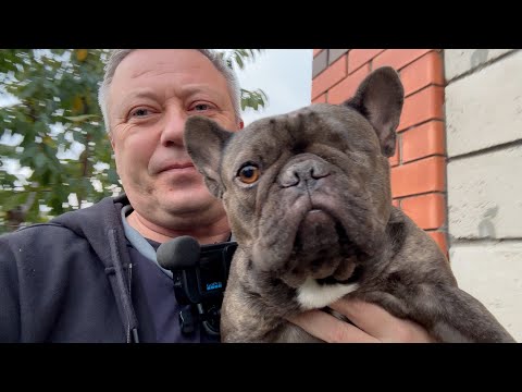 Видео: впервые ОНА едет в НОВУЮ квартиру моей МАМОЧКИ