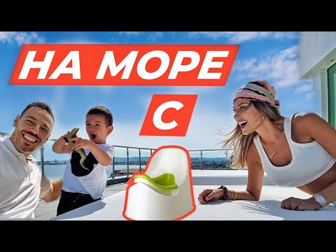 Видео: Кой счупи чашата? 😱