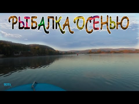 Видео: РЫБАЛКА НА СУДАКА В ОСЕННИЙ ПЕРИОД ВРЕМЕНИ /ВОЛГА/