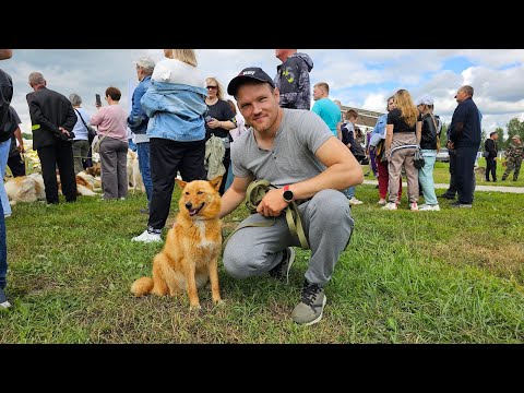 Видео: СУДЬЯ ОГОРЧИЛ... НО ВСЁ РЕШИЛОСЬ В ФИНАЛЕ... 100ая Нижегородская выставка охотничьих собак