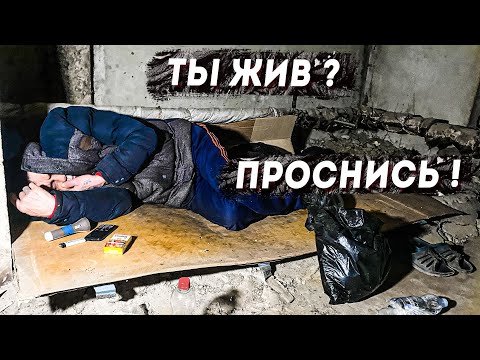 Видео: ВЫШЕЛ НА ВОЛЮ. А КАК ТЕПЕРЬ ЖИТЬ?