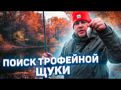 Видео: ОТПРАВИЛИСЬ ЗА КРУПНОЙ ЩУКОЙ.