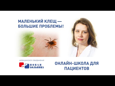 Видео: Маленький клещ - большие проблемы! Онлайн-школа для пациентов, посвященная сезону клещевых инфекций