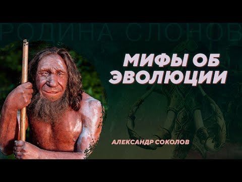 Видео: Мифы об эволюции. Александр Соколов. Родина слонов №9