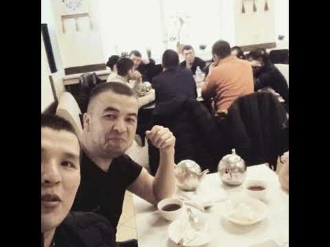 Видео: Толман 1990.жылкылар