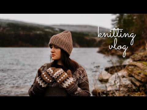 Видео: VLOG 59/2021 | ВАРЕЖКИ С ЖАККАРДОМ ИЗ ОСТАТКОВ ПРЯЖИ | BERNIE SANDERS MITTENS #вязание_на_выживание2