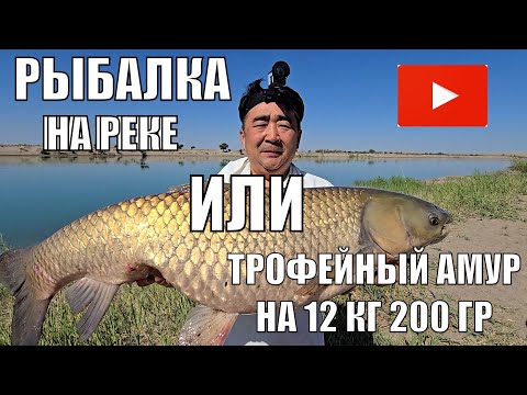 Видео: РЫБАЛКА НА РЕКЕ ИЛИ КАК Я ПОЙМАЛ РЕКОРДНОГО АМУРА НА 12 КГ И МНОГО ДИКОГО САЗАНА ИЮНЬ 2024