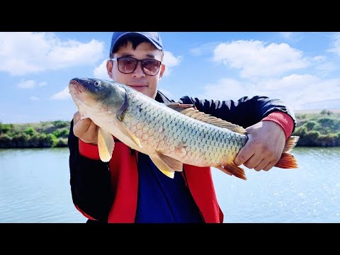 Видео: БАЛЫҚ АУҒА БАРДЫҚ/РЫБАКИ КАРАКАЛПАКСТАНА