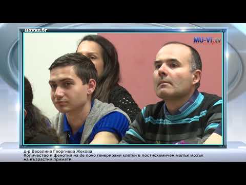 Видео: Количество и фенотип на de novo генерирани клетки в постисхемичен малък мозък на възрастни примати