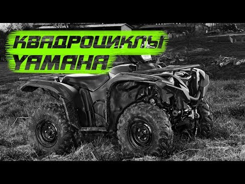 Видео: Квадроцикл Yamaha Grizzly не все так идеально