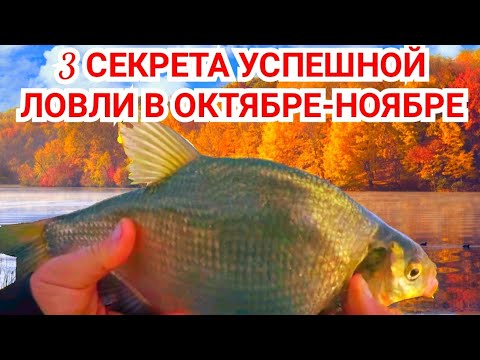 Видео: 3 СЕКРЕТА УСПЕШНОЙ РЫБАЛКИ ПОЗДНЕЙ ОСЕНЬЮ!