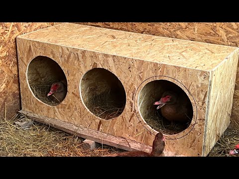 Видео: Делаю бюджетные гнезда для уток