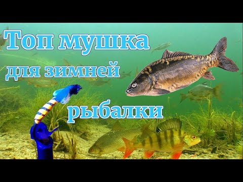 Видео: ТОП Мормышка мушка для зимней рыбалки