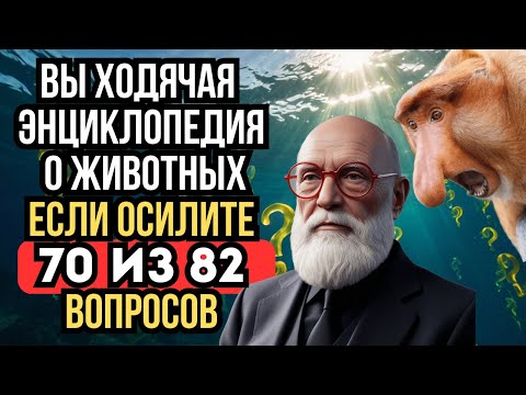 Видео: Тест на эрудицию: Угадай животных в большой викторине!