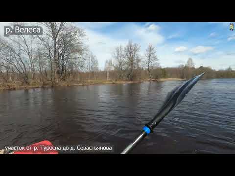 Видео: Сплав по рекам Велеса-Западная Двина 2 часть 2022#паводок #гдепоплавать