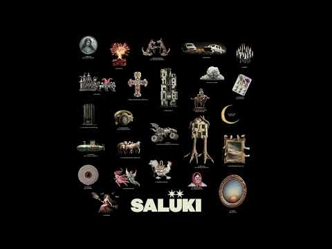 Видео: SALUKI - ВЫЛЕЧИМ | slowed and reverb |