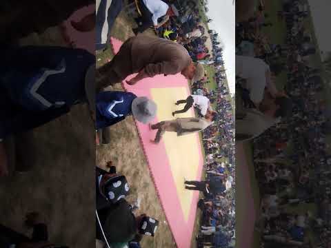 Видео: Гуштин дар нохияаи Ш ШОХИН ДЕХАИ ЧАГАМИ МИЁНА