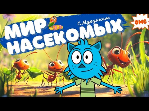 Видео: Мир насекомых для детей |  Изучаем насекомых с Мурзиком!