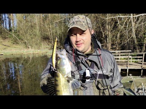 Видео: Супер решение для мелководья -ВОБЛЕР TSUYOKI SANITAR 145F