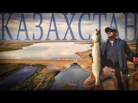 Видео: Из Австралии в Казахстан на рыбалку