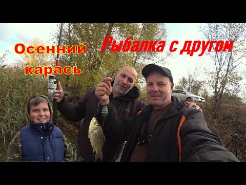 Видео: ОСЕННИЙ карасик на кормачки 🐟 Рыбалка с другом )))