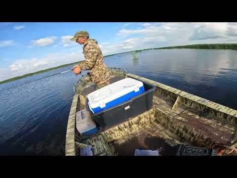 Видео: Рыбалка на спиннинг или окунь на блесну! Рыбалка с лодки. Ловим рыбу . Рыбалка 2024