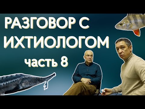 Видео: Разговор с ихтиологом. Белковский Николай Михайлович. Отвечаем на вопросы подписчиков.