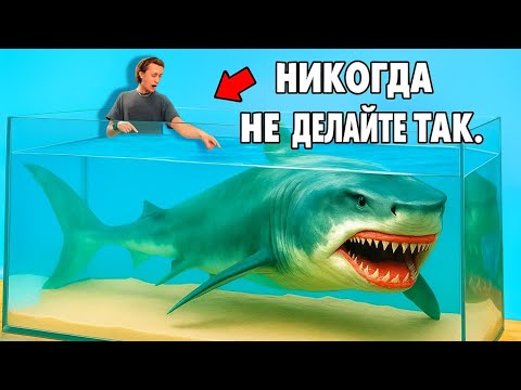 Видео: Покупка через Интернет самой редкой акулы, которой я когда-либо владел...