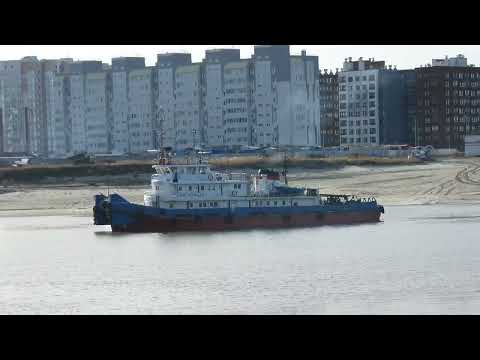 Видео: 21.10.2025 на берегу