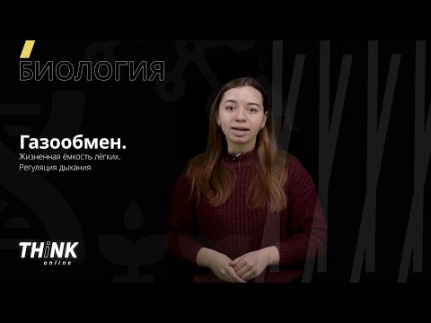 Видео: Газообмен. Жизненная ёмкость лёгких. Регуляция дыхания | Биология