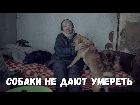 Видео: Бабушка греется собаками! Отопления в доме нет.