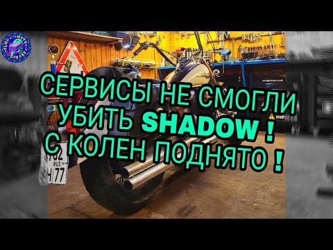 Видео: ИНОГДА МЕРТВЫЕ ОЖИВАЮТ HONDA SHADOW ИЛИ ПРОСТО РОГАМЁТ