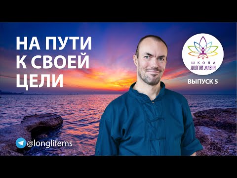 Видео: Разница между целью и желанием. Выпуск 5. Школа Долгой Жизни Михаила Советова