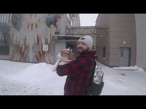 Видео: ВТОРАЯ ПРИВИВКА ЩЕНКУ СТАФФА / Заехали в гости к родителям