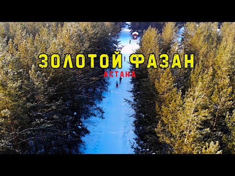 Видео: ЗОЛОТОЙ ФАЗАН. АСТАНА.