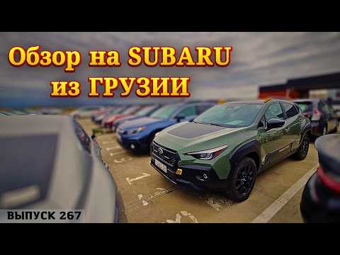 Видео: SUBARU. Обзор цен на Субару. Рынок КАВКАЗУС. Выиграли Форестер на Аукционе IAAI. #mastervadya #top