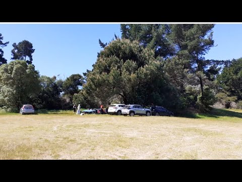 Видео: Отмечаем день рождения Володи. от 1.11.25