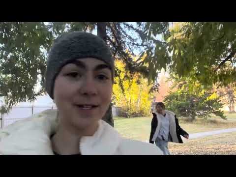 Видео: ВСЕ ОДИНАРНЫЕ ПРЫЖКИ В ФК ⛸️☁️ Как называются и как выглядят 